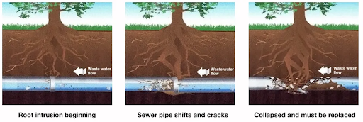 sewer repair